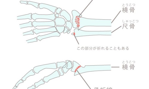 虎眉和狮子眉区别图片-狮子眉和龙眉的区别网 | 狮子眉图片,狮子眉一般人驾驭不了